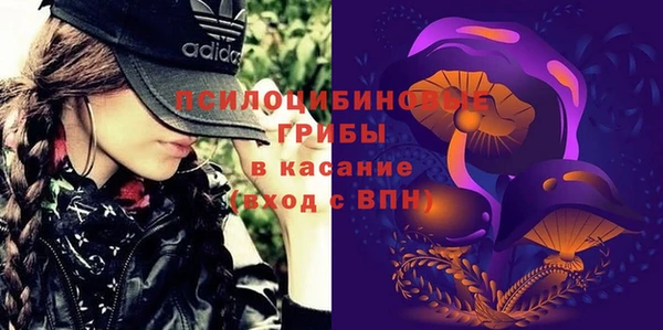 соль курить ск Богородск