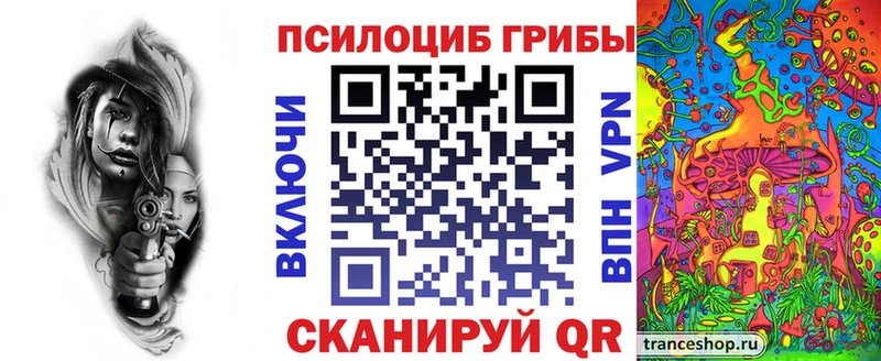 Псилоцибиновые грибы Cubensis Болхов